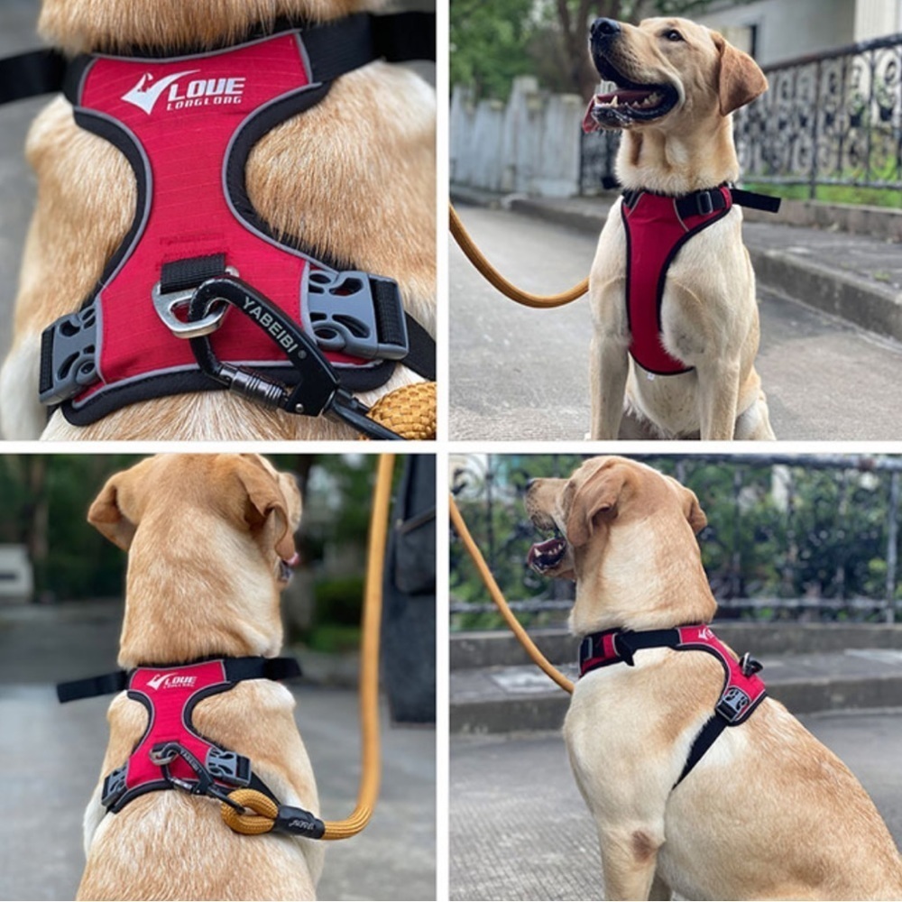 Puppy harness—new
